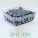Treviplast S.A. Envases para exportación de frutas